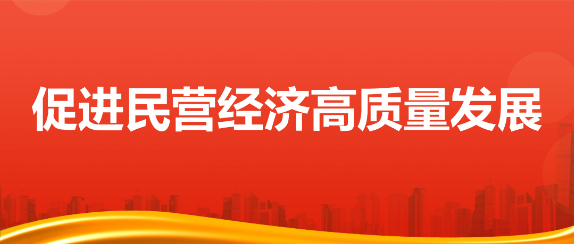 精准服务，用好“赋能之手”——为民营经济营造更好发展环境①